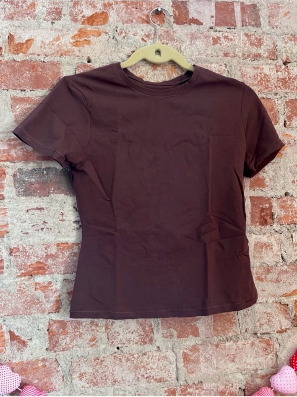 Quince Organic Cotton Chocolate Brown Fitted Tee